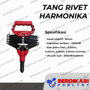 Tang Rivet Harmonika Nankai