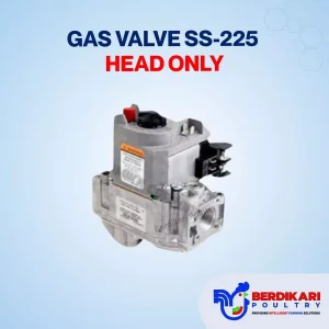 Gas Valve SS-225 Super Saver Heater