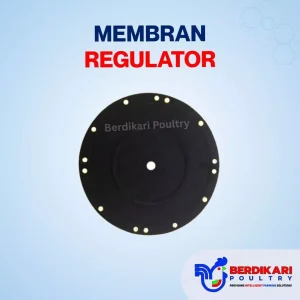 Membran Regulator / Karet Seal Regulator